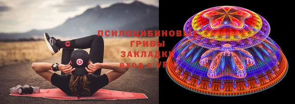 твердый Абинск