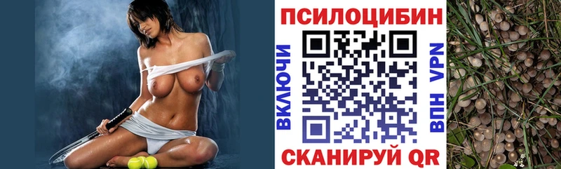 нарко площадка какой сайт  Инсар  Галлюциногенные грибы Magic Shrooms 
